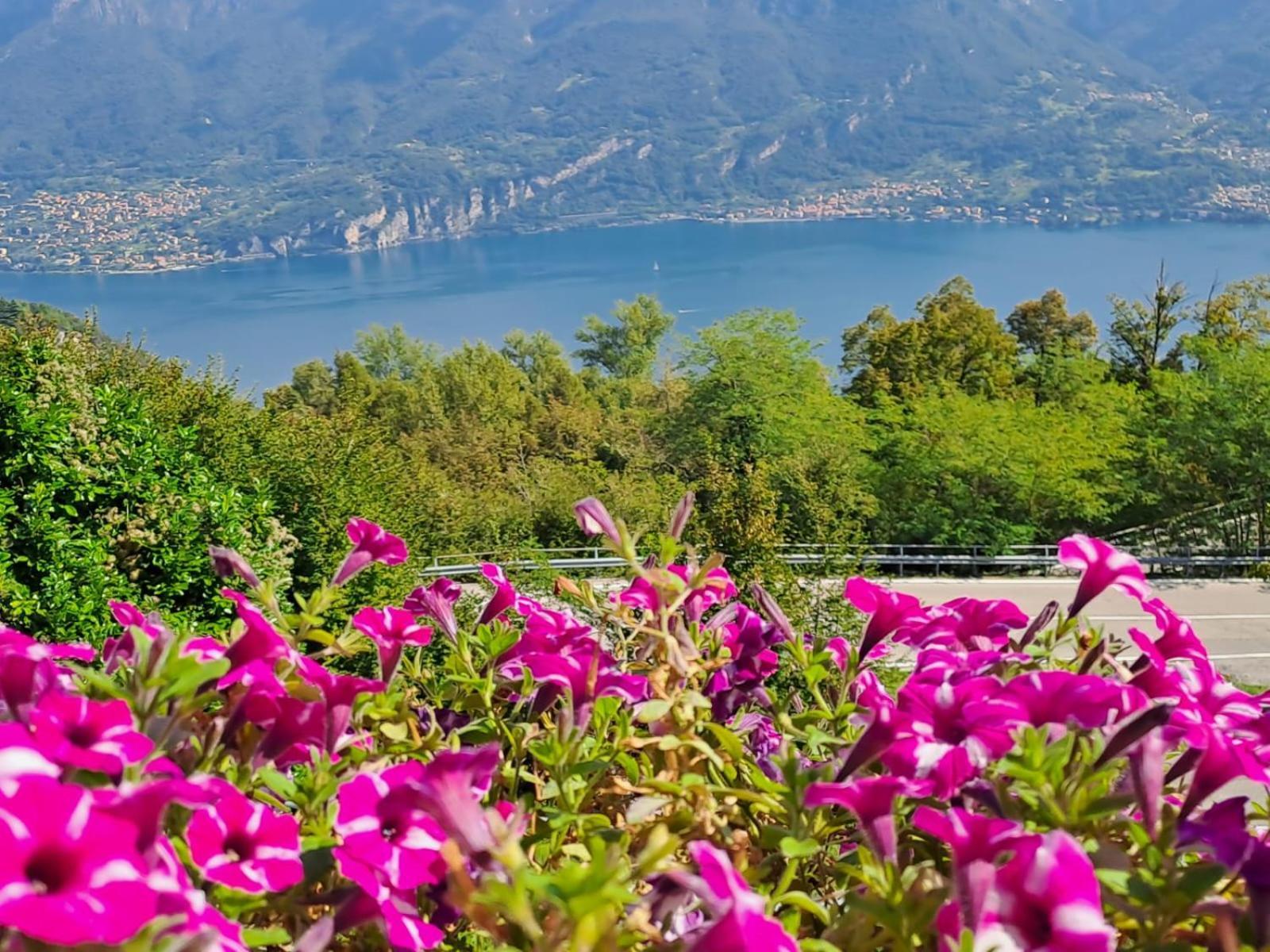 Bed & Breakfast Bellagio Dış mekan fotoğraf