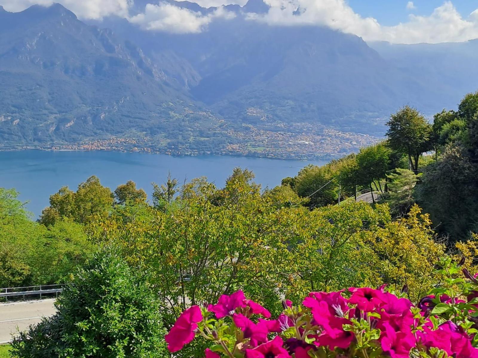 Bed & Breakfast Bellagio Dış mekan fotoğraf